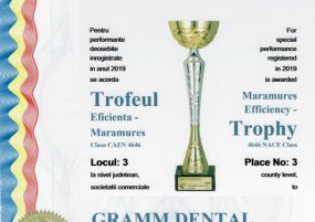 Trofeu-Top-Eficienta-Maramures2-724x1024